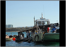 �C���[�W�摜