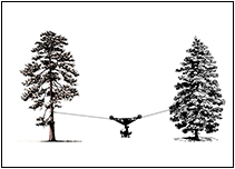 �C���[�W�摜