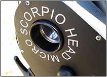 �C���[�W�摜